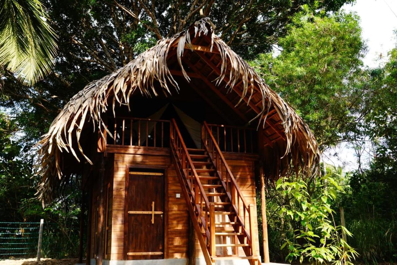 Jungle View River Camping Udawalawe Exterior photo